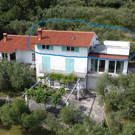 Appartement House Among Olive Trees With A Sea View 1 à Ankaran Extérieur photo