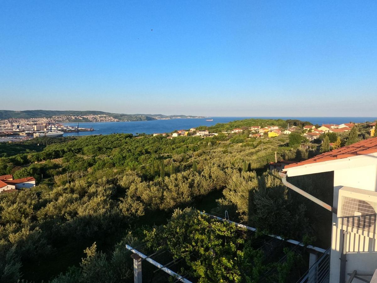Appartement House Among Olive Trees With A Sea View 1 à Ankaran Extérieur photo