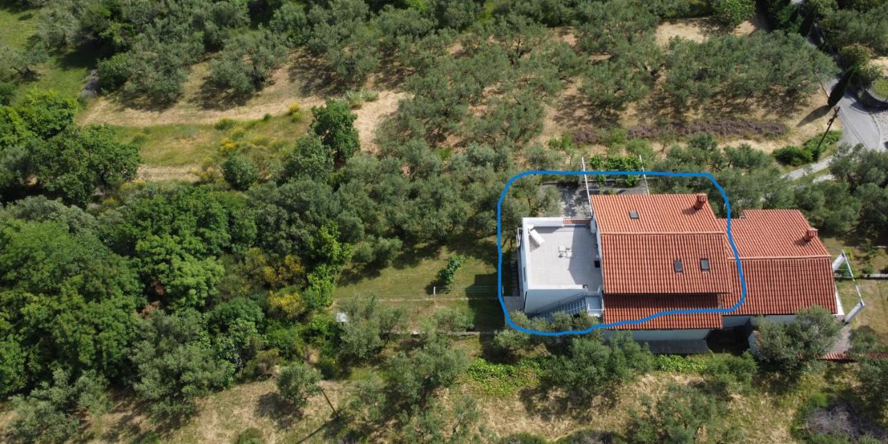 Appartement House Among Olive Trees With A Sea View 1 à Ankaran Extérieur photo
