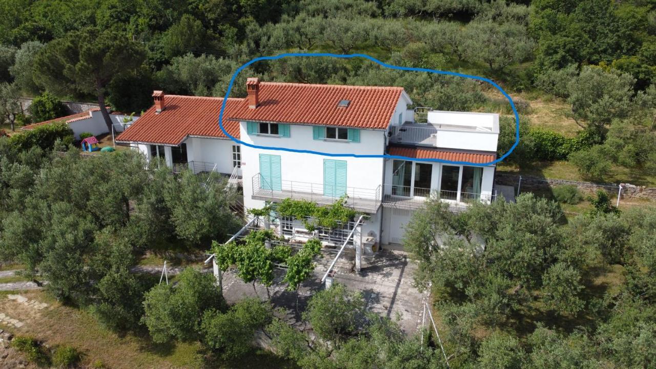 Appartement House Among Olive Trees With A Sea View 1 à Ankaran Extérieur photo