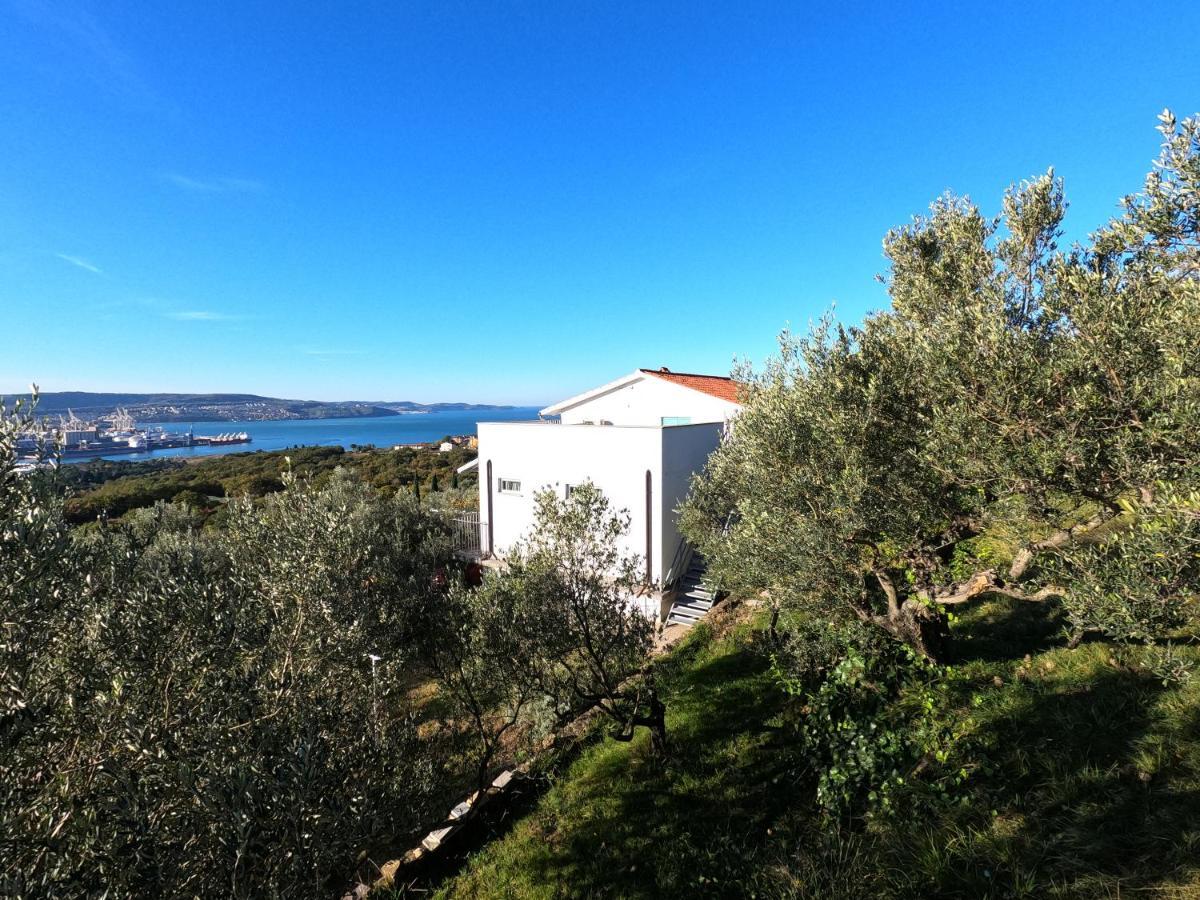 Appartement House Among Olive Trees With A Sea View 1 à Ankaran Extérieur photo